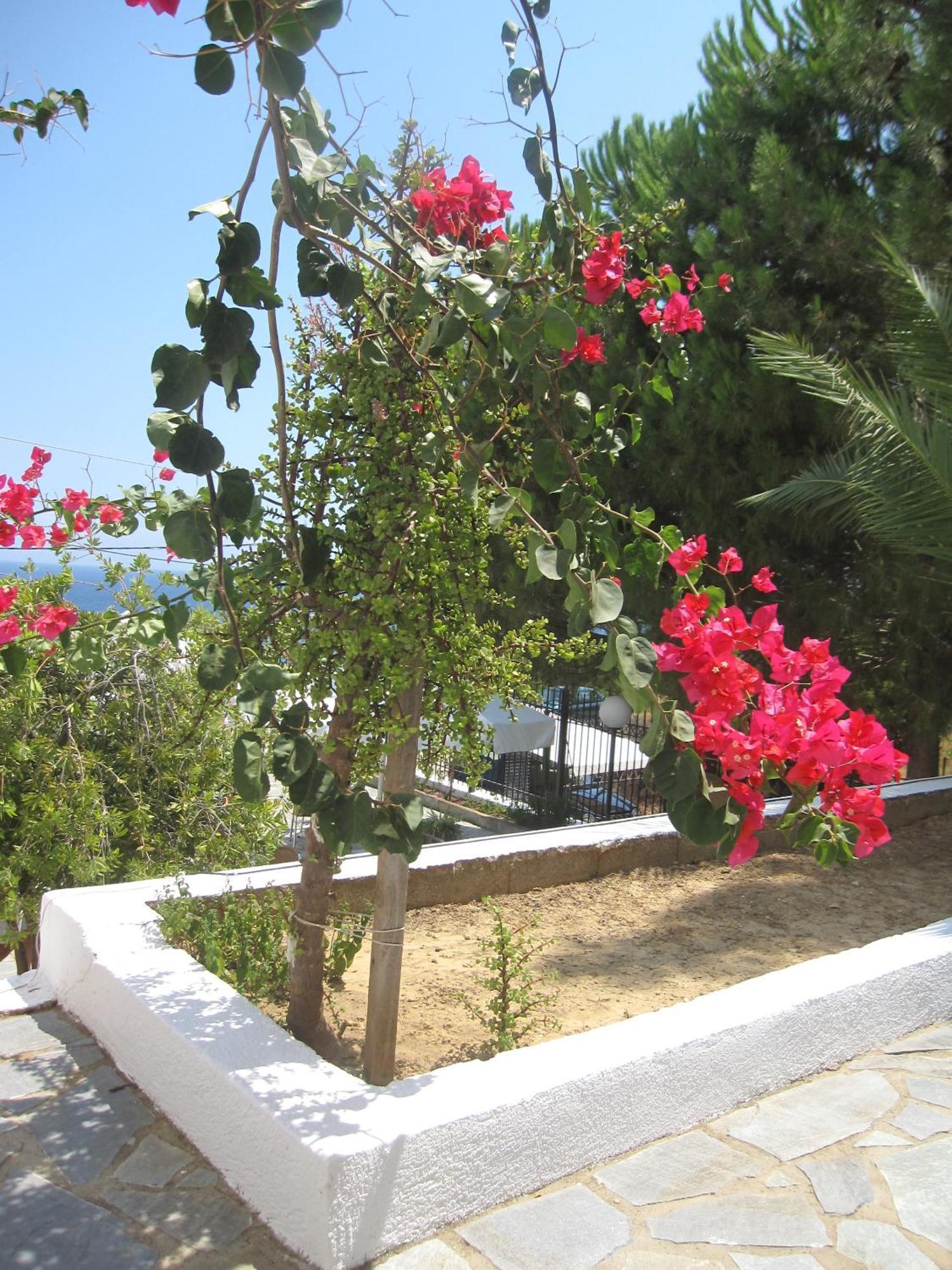 Travlos Studios Eleios-Pronnoi Exteriör bild